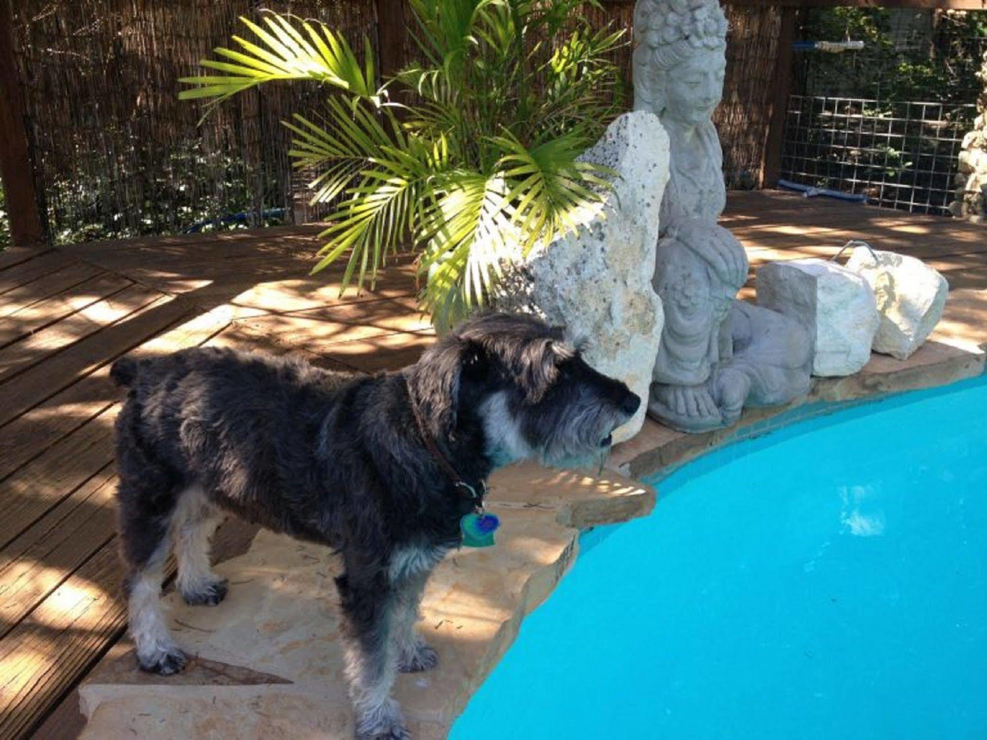 לייקוויי Casa Del Sol Bed And Breakfast מראה חיצוני תמונה